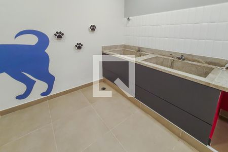 Studio para alugar com 33m², 1 quarto e sem vagapet care