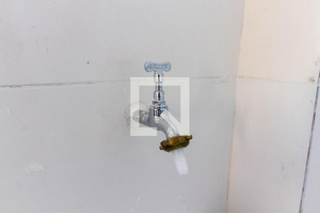 Lavanderia (Torneira) de apartamento para alugar com 2 quartos, 47m² em Artur Alvim, São Paulo
