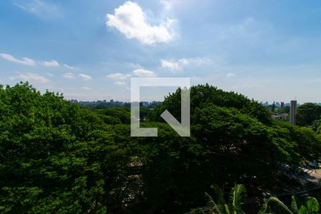 Apartamento à venda com 310m², 3 quartos e 4 vagas Apartamento à venda com 310m², 3 quartos e 4 vagasVista da Varanda da Sala