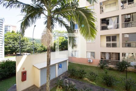 Vista de apartamento para alugar com 3 quartos, 70m² em Jardim Carvalho, Porto Alegre