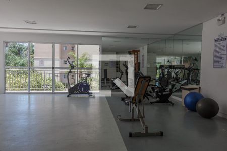 Apartamento para alugar com 73m², 3 quartos e 1 vaga Apartamento para alugar com 73m², 3 quartos e 1 vagaÁrea comum - Academia