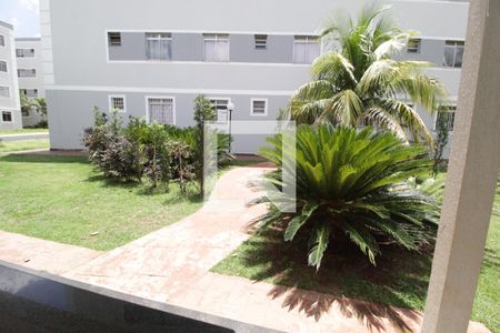 Apartamento para alugar com 60m², 3 quartos e 1 vagaÁrea comum