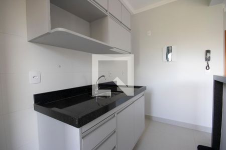 Cozinha de apartamento para alugar com 1 quarto, 45m² em Jardim Recreio , Ribeirão Preto