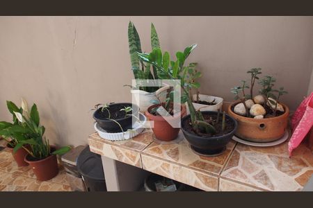 Casa à venda com 240m², 4 quartos e 3 vagasQuintal