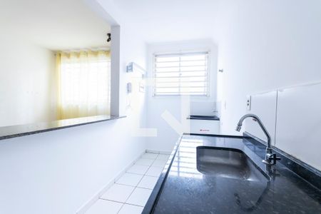 Cozinha de apartamento para alugar com 2 quartos, 49m² em Ribeirânia, Ribeirão Preto