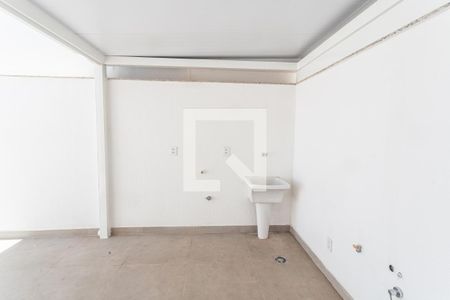Área de Serviço de apartamento para alugar com 2 quartos, 120m² em Cidade Nova, Belo Horizonte