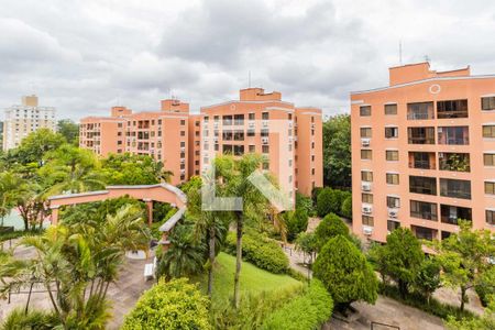 Vista de apartamento para alugar com 3 quartos, 67m² em Petrópolis, Porto Alegre