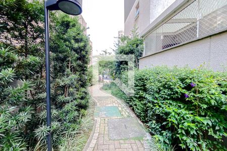 Apartamento para alugar com 29m², 1 quarto e sem vagaÁrea comum