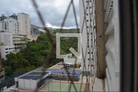 Vista da Suíte de apartamento para alugar com 3 quartos, 86m² em Buritis, Belo Horizonte