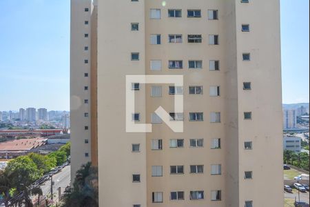 Apartamento para alugar com 84m², 3 quartos e 1 vaga Apartamento para alugar com 84m², 3 quartos e 1 vagaVista do Quarto 1