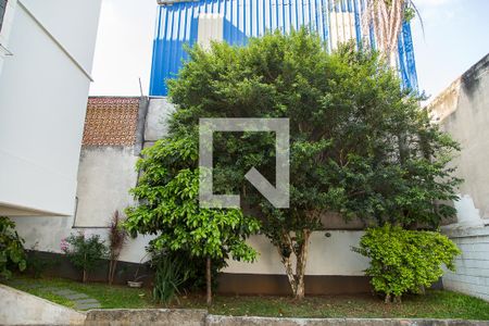 Área Comum de apartamento para alugar com 2 quartos, 56m² em Jardim Brasil (zona Sul), São Paulo