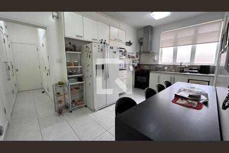Apartamento à venda com 251m², 5 quartos e 2 vagasCozinha - Armários