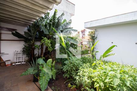 Casa à venda com 950m², 5 quartos e 4 vagasQuintal - Jardim