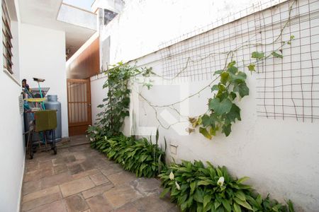 Casa à venda com 950m², 5 quartos e 4 vagasQuintal - Jardim