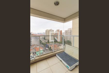 varanda de apartamento para alugar com 2 quartos, 50m² em Cambuci, São Paulo