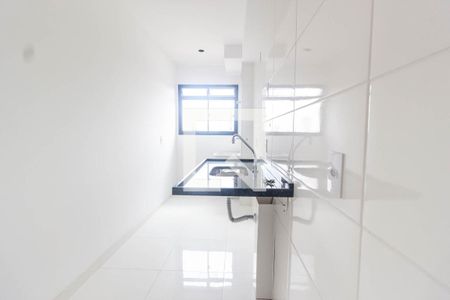 Apartamento para alugar com 49m², 2 quartos e sem vagaCozinha