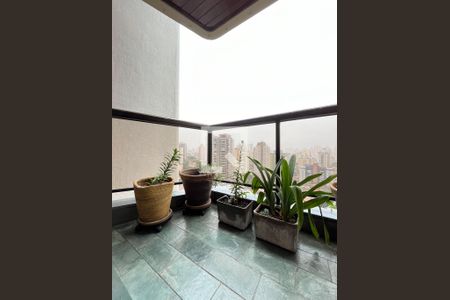 Varanda da Sala de apartamento à venda com 3 quartos, 82m² em Chácara Inglesa, São Paulo
