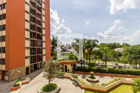 Apartamento para alugar com 80m², 3 quartos e 2 vagasVista