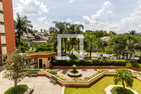 Apartamento para alugar com 80m², 3 quartos e 2 vagasVista