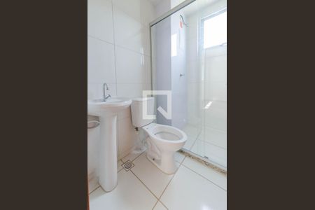 Banheiro de apartamento para alugar com 2 quartos, 51m² em Engenho Nogueira, Belo Horizonte