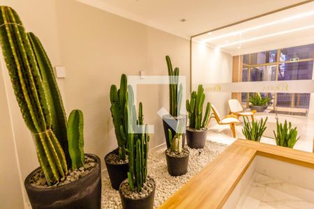 Apartamento para alugar com 75m², 2 quartos e 1 vaga Apartamento para alugar com 75m², 2 quartos e 1 vagaHall Social