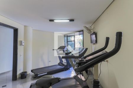 Apartamento para alugar com 50m², 1 quarto e 1 vagaÁrea comum - Academia