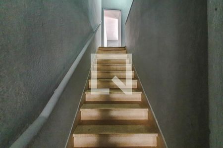 escada de casa para alugar com 3 quartos, 70m² em Cambuci, São Paulo