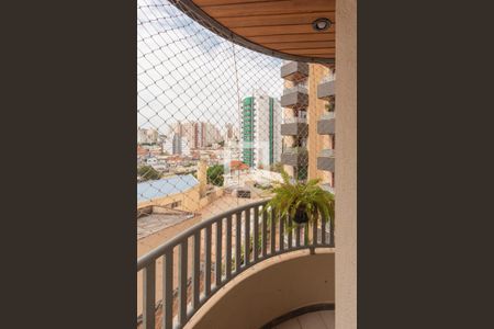 Apartamento para alugar com 150m², 4 quartos e 2 vagasVista do Quarto 3