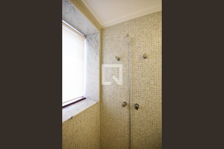 Apartamento à venda com 450m², 4 quartos e 5 vagasChuveiro do Banheiro da Suíte 3