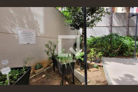 Apartamento à venda com 61m², 1 quarto e 1 vagaHorta