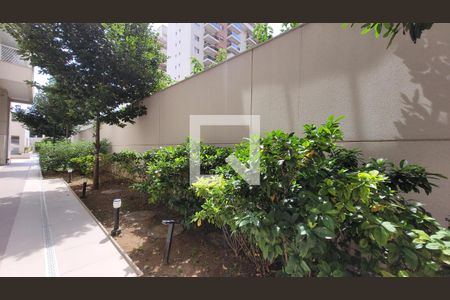 Apartamento à venda com 61m², 1 quarto e 1 vagaHorta