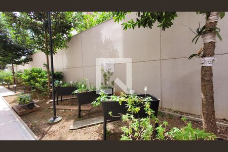 Apartamento à venda com 61m², 1 quarto e 1 vagaHorta