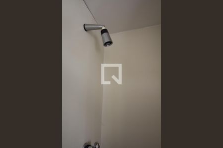 Apartamento para alugar com 250m², 4 quartos e 4 vagas Apartamento para alugar com 250m², 4 quartos e 4 vagasBanheiro da Suíte 2