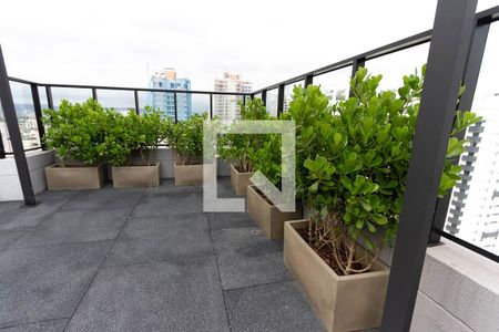 Studio para alugar com 34m², 1 quarto e sem vaga Studio para alugar com 34m², 1 quarto e sem vagaAcademia
