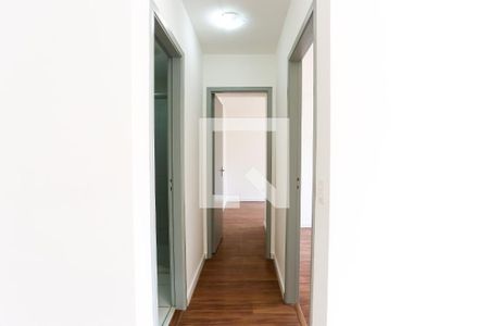 corredor de apartamento para alugar com 2 quartos, 47m² em Jardim Umarizal, São Paulo