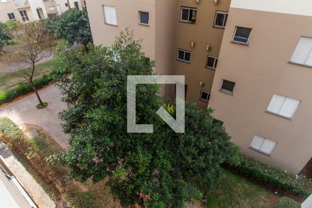 Apartamento para alugar com 61m², 2 quartos e 1 vagaVista da Suíte
