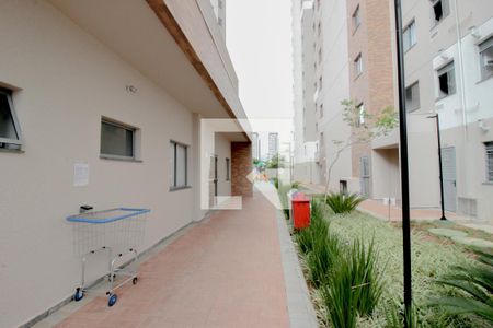 Apartamento para alugar com 30m², 1 quarto e sem vagaÁrea comum 