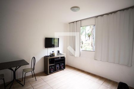 Sala de apartamento à venda com 2 quartos, 45m² em Santa Amélia, Belo Horizonte