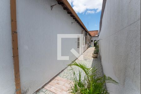 Casa para alugar com 400m², 6 quartos e 4 vagasQuintal