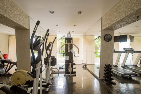 Apartamento para alugar com 227m², 4 quartos e 2 vagas Apartamento para alugar com 227m², 4 quartos e 2 vagasÁrea comum - Academia