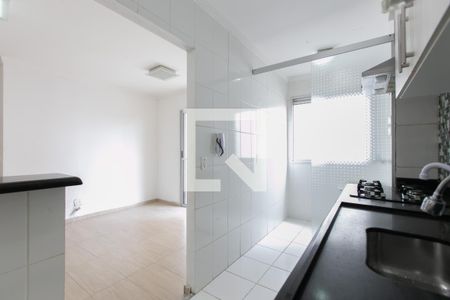 Apartamento para alugar com 52m², 2 quartos e 1 vagaCozinha - Armários