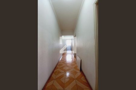 Corredor  de apartamento para alugar com 2 quartos, 50m² em Centro, Campinas