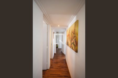 Corredor de apartamento para alugar com 3 quartos, 96m² em Jardim Colombo, São Paulo