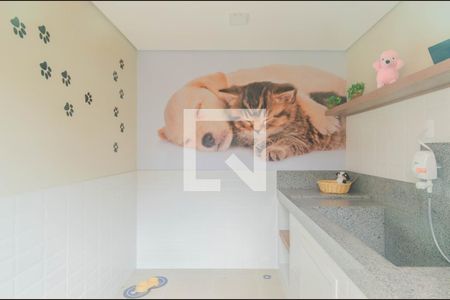 Apartamento para alugar com 33m², 2 quartos e sem vaga Apartamento para alugar com 33m², 2 quartos e sem vagaEspaço pet