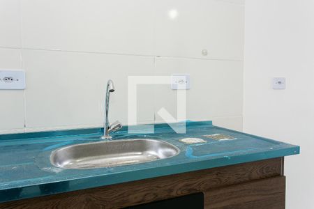 Cozinha - Pia de apartamento para alugar com 2 quartos, 42m² em Vila Brasil, São Paulo
