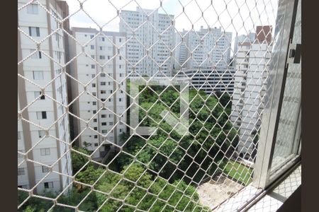 Sala - Vista de apartamento à venda com 3 quartos, 60m² em Jardim Íris, São Paulo