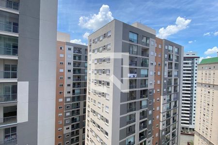 Vista da Suíte 1 de apartamento para alugar com 2 quartos, 69m² em Alphaville Empresarial, Barueri