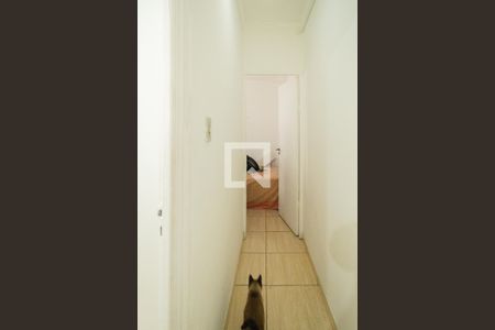 Casa à venda com 278m², 9 quartos e 1 vaga Casa à venda com 278m², 9 quartos e 1 vagaCorredor - Casa 3