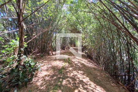 Casa à venda com 7000m², 4 quartos e 2 vagasQuintal