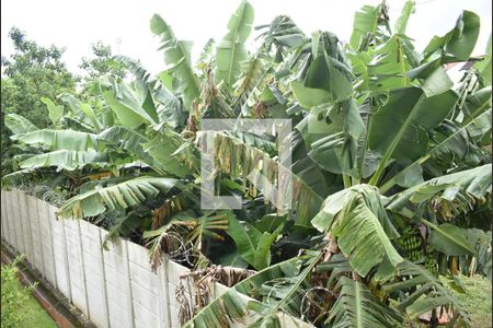 Apartamento para alugar com 60m², 2 quartos e 1 vagaVista do Quarto 1